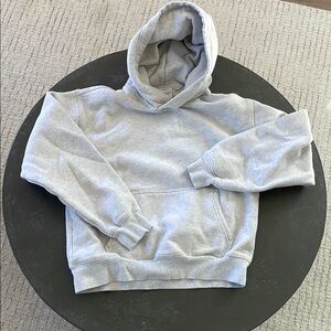 Aritzia Perfect Fit Sweatfleece Hoodie in Heather Gray